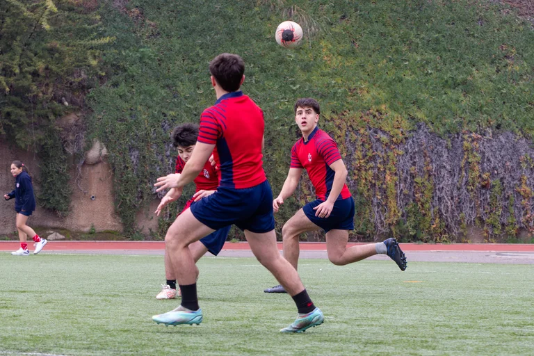 Rugby