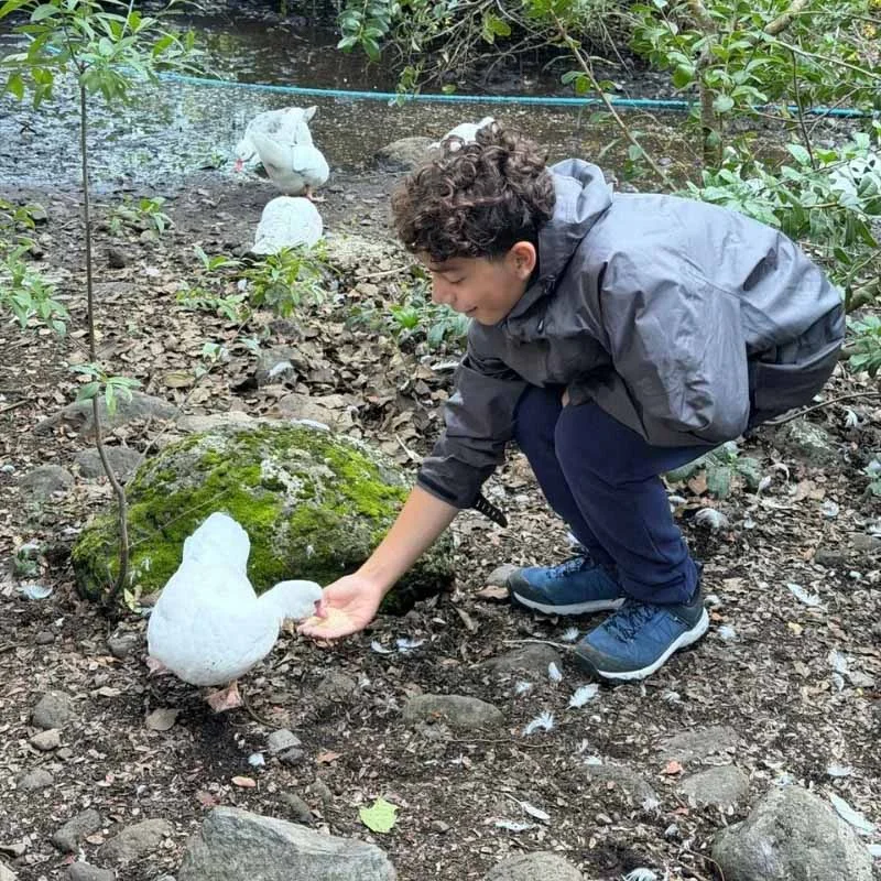 Learning and Wellbeing Experience in Los Pellines