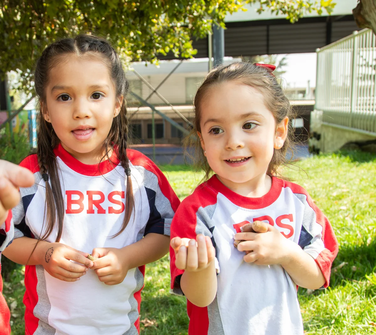 ¿Por qué elegir British Royal School?