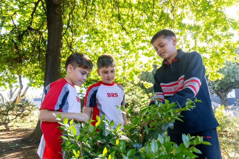 Habilidades para la vida