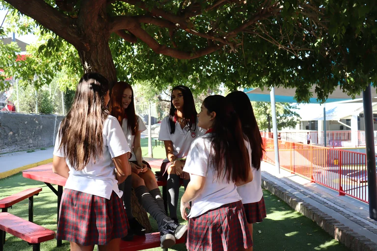 Actividades de integración