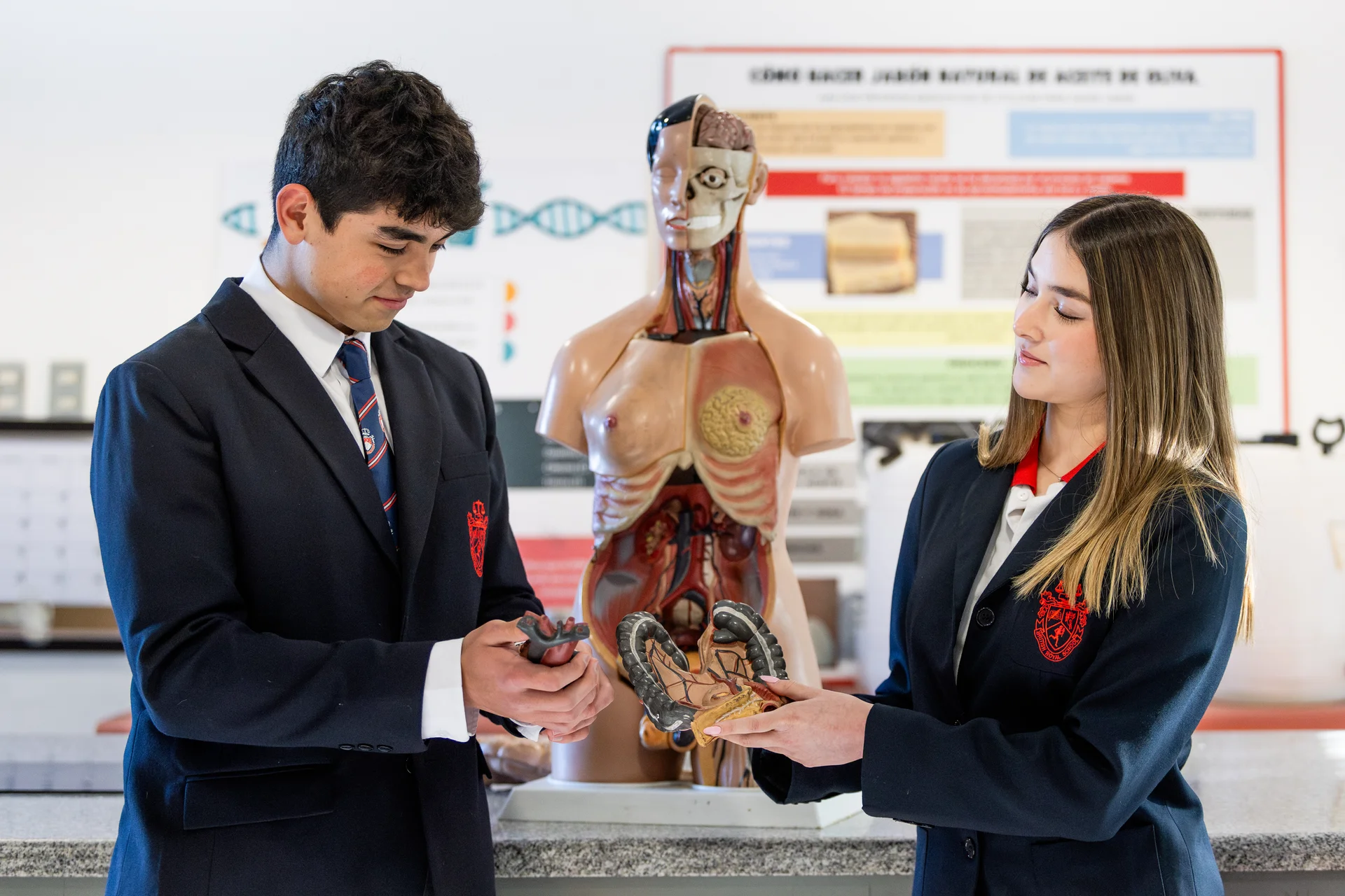 Ciencias Naturales / Biología