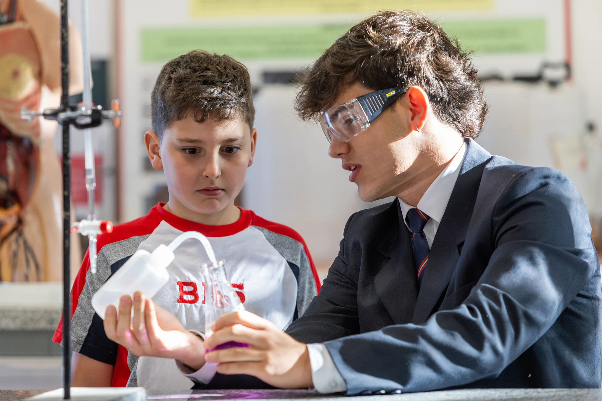 Ayudas de profesores y compañeros